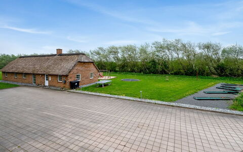 Benthe - from the Sea: Plantesamfund, Sollys, Urteagtig Plante, Have, Plantation, Landbrug, Farm