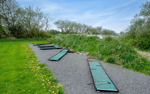 Benthe - from the Sea: Plantesamfund, Sollys, Urteagtig Plante, Have, Plantation, Landbrug, Farm