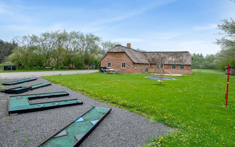 Benthe - from the Sea: Plantesamfund, Sollys, Urteagtig Plante, Have, Plantation, Landbrug, Farm