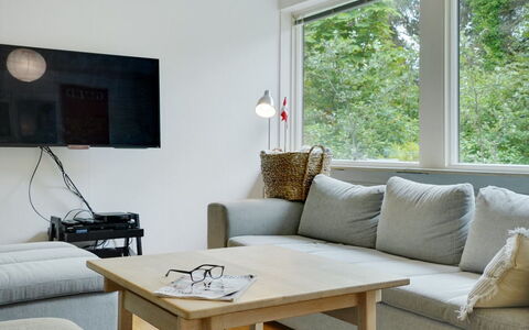 Flor - 900M from the Sea: Møbel, Indretning, Couch, Gulvbelægning, Væg, Etage, Stue, Træ, Værelse, Bord