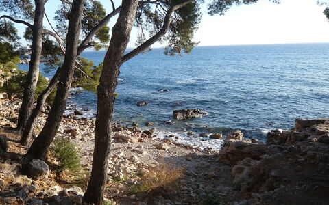 Les Hameaux de L'Ile Rousse: Vand, Plante, Himmel, Naturlige Landskab, Træ, Træ, Coastal Og Oceaniske Landskabsformer, Bank, Terræn, Horisont