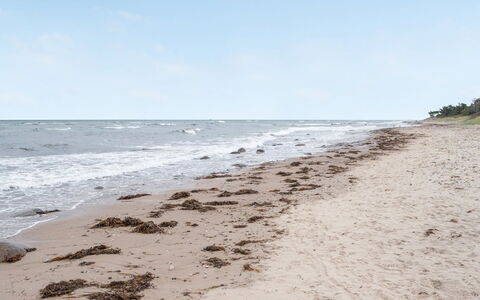 Pascal - 25M from the Sea: Hus, Hjem, Tag, Sommerhus, Busk, Sidespor, Dør, Have, Stuehus