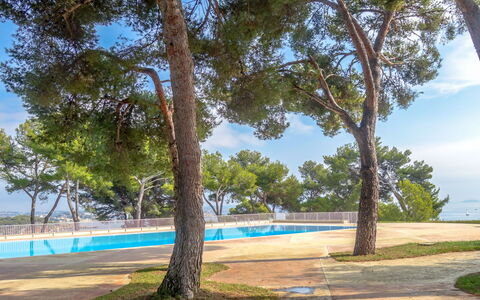 Bandol 230: Himmel, Plante, Skygge, Azure, Sky, Træ, Afdeling, Arecales, Naturlige Landskab, Sollys