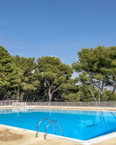Bandol 230