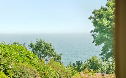 Fridtjof - 100M from the Sea: Grøn, Blad, Vegetationen, Horisont, Hav, Plantesamfund, Ocean, Coastal Og Oceaniske Landskabsformer, Kyst, Tropics