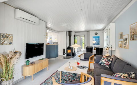 Skakke - 900M from the Sea: Plantesamfund, Sollys, Urteagtig Plante, Have, Plantation, Landbrug, Farm