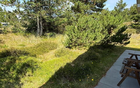 Absolon - 1.5Km from the Sea: Græs, Vegetationen, Busk, Plantesamfund, Land Lot, Bunddække, Have, Vedplante, Lawn