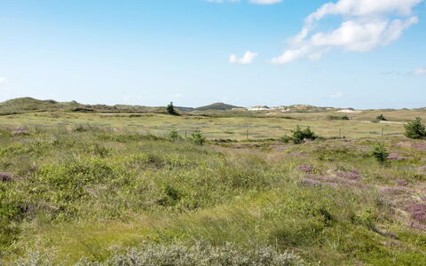 Dorothea - 450M to the Fjord: Himmel, Blå, Græs, Græs-, Naturligt Miljø, Økoregion, Vegetationen, Sky, Almindeligt, Horisont