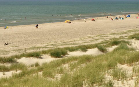 Dorothea - 450M to the Fjord: Naturligt Miljø, Strand, Sand, Økoregion, Kyst, Sommer, Kyst, Hav, Coastal Og Oceaniske Landskabsformer, Ocean