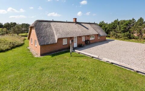 Aane - 1.8Km from the Sea: Plantesamfund, Sollys, Urteagtig Plante, Have, Plantation, Landbrug, Farm