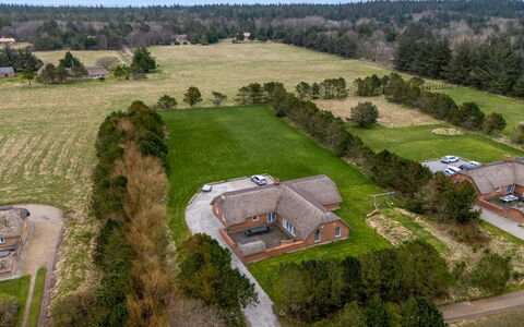 Aane - 1.8Km from the Sea: Plantesamfund, Sollys, Urteagtig Plante, Have, Plantation, Landbrug, Farm