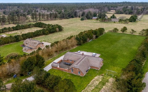 Aane - 1.8Km from the Sea: Plantesamfund, Sollys, Urteagtig Plante, Have, Plantation, Landbrug, Farm