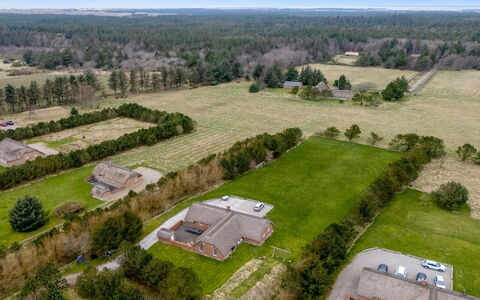 Aane - 1.8Km from the Sea: Plantesamfund, Sollys, Urteagtig Plante, Have, Plantation, Landbrug, Farm
