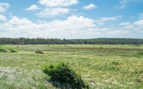 Tayanita - 750M from the Sea: Tag, Land Lot, Sommerhus, Hjem, Landdistrikt, Skur, Sidespor, Garden Bygninger, Bjælkehytte, Hytte