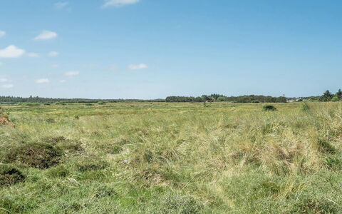 Tayanita - 750M from the Sea: Tag, Land Lot, Sommerhus, Hjem, Landdistrikt, Skur, Sidespor, Garden Bygninger, Bjælkehytte, Hytte