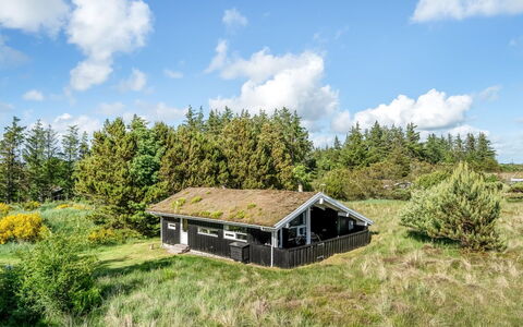 Anthonia - 1.6Km from the Sea: Plantesamfund, Sollys, Urteagtig Plante, Have, Plantation, Landbrug, Farm