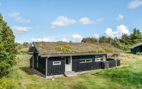 Anthonia - 1.6Km from the Sea: Plantesamfund, Sollys, Urteagtig Plante, Have, Plantation, Landbrug, Farm