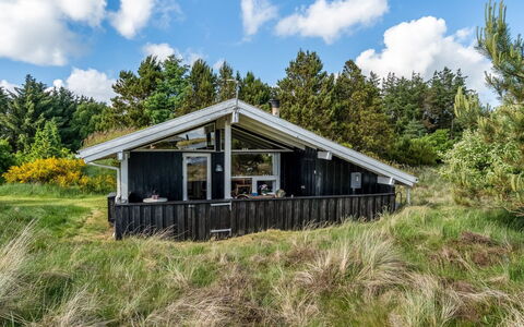 Anthonia - 1.6Km from the Sea: Plantesamfund, Sollys, Urteagtig Plante, Have, Plantation, Landbrug, Farm