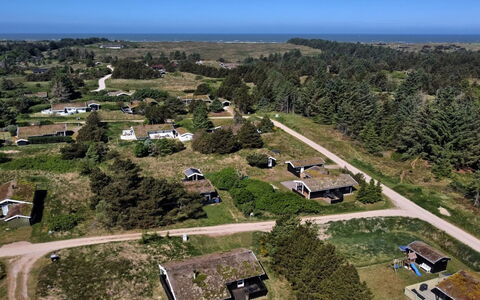 Anthonia - 1.6Km from the Sea: Plantesamfund, Sollys, Urteagtig Plante, Have, Plantation, Landbrug, Farm