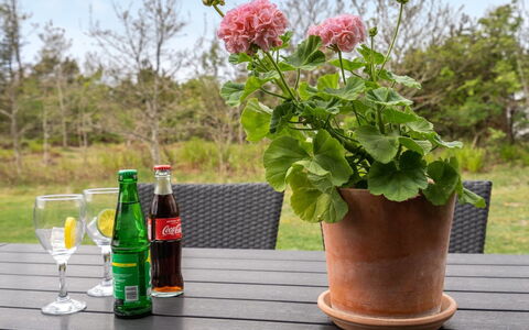 Birette - 1.5Km from the Sea: Blomsterkrukke, Have, Stueplante, Urt, Vase