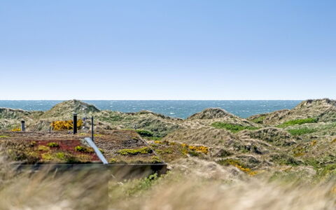 Ehawee - 350M from the Sea: Tag, Land Lot, Sommerhus, Hjem, Landdistrikt, Skur, Sidespor, Garden Bygninger, Bjælkehytte, Hytte