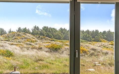 Ehawee - 350M from the Sea: Tag, Land Lot, Sommerhus, Hjem, Landdistrikt, Skur, Sidespor, Garden Bygninger, Bjælkehytte, Hytte