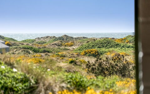 Ehawee - 350M from the Sea: Tag, Land Lot, Sommerhus, Hjem, Landdistrikt, Skur, Sidespor, Garden Bygninger, Bjælkehytte, Hytte