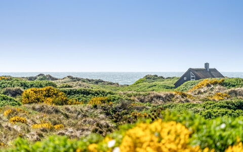 Ehawee - 350M from the Sea: Tag, Land Lot, Sommerhus, Hjem, Landdistrikt, Skur, Sidespor, Garden Bygninger, Bjælkehytte, Hytte