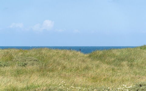 Dila - 150M from the Sea