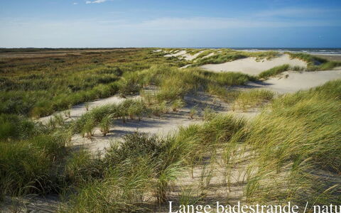 Elle - 50M from the Sea: Tag, Hus, Land Lot, Hjem, Sommerhus, Estate, Garden Bygninger, Skygge, Bjælkehytte, Landscaping