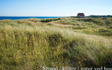 Elle - 50M from the Sea: Tag, Hus, Land Lot, Hjem, Sommerhus, Estate, Garden Bygninger, Skygge, Bjælkehytte, Landscaping