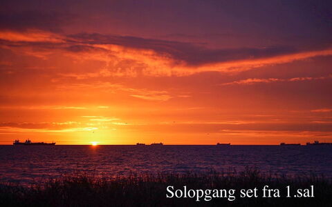 Ingwald - 50M from the Sea: Boligområde, Tag, Forstad, Indkørsel, Estate, Skorsten