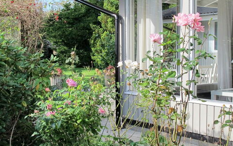Claudette - 1Km from the Sea: Blomst, Busk, Lyserød, Have, Kronblad, Plantesamfund, Haveroser, Forår, Blomstrende Plante