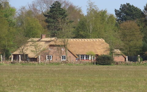 Taralyn - 1.3Km from the Sea