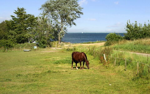 Ady - 150M from the Sea: Tag, Hus, Land Lot, Hjem, Sommerhus, Estate, Garden Bygninger, Skygge, Bjælkehytte, Landscaping