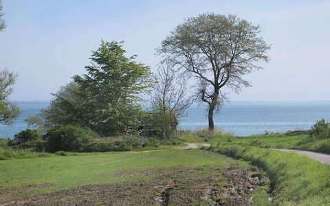 Ady - 150M from the Sea: Tag, Hus, Land Lot, Hjem, Sommerhus, Estate, Garden Bygninger, Skygge, Bjælkehytte, Landscaping