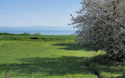 Ady - 150M from the Sea