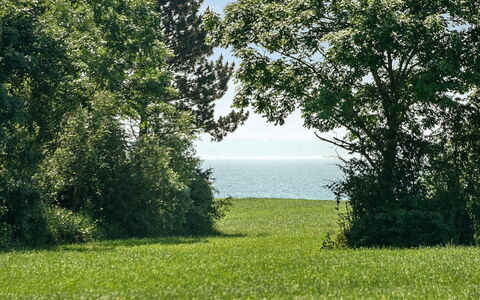 Ilja - 400M from the Sea: Blå, Grøn, Daytime, Blad, Græs, Naturligt Miljø, Natur, Vegetationen, Græs-, Naturlige Landskab
