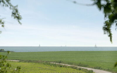 Ilja - 400M from the Sea