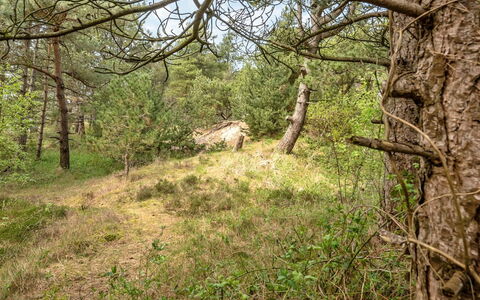 Solvey - 2Km from the Sea: Boligområde, Busk, Hus, Hjem, Have, Estate, Skygge, Landscaping, Lawn