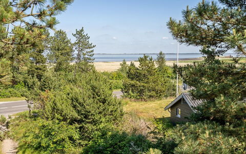 Solvey - 2Km from the Sea: Himmel, Vegetationen, Busk, Plantesamfund, Shrubland, Evergreen, Lærk, Pine Family