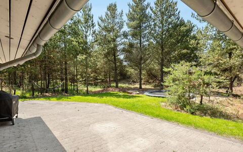 Jonas - 2.4Km from the Sea: Træ, Skygge, Lærk, Evergreen, Landscaping, Woodland, Indkørsel, Pine Family