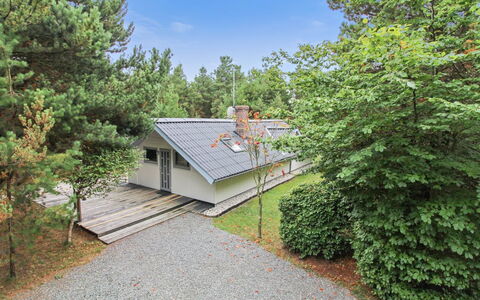 Lenia - 1Km from the Sea: Busk, Tag, Hjem, Sommerhus, Have, Sidespor, Estate, Landscaping, Gård, Garden Bygninger