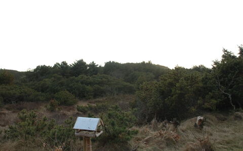 Annita - 300M from the Sea: Tag, Hus, Hjem, Sommerhus, Sidespor, Estate, Indkørsel, Garden Bygninger, Gård, Skur