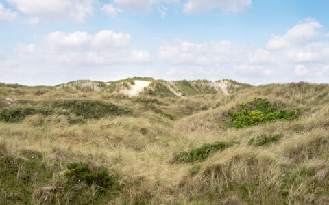 Thrond - 200M from the Sea: Hus, Hjem, Tag, Sommerhus, Busk, Sidespor, Dør, Have, Stuehus