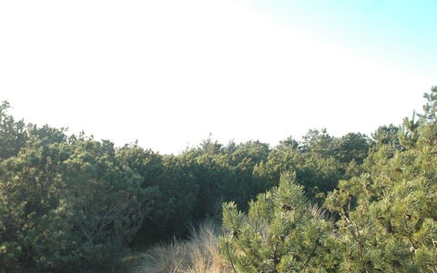 Jon - 400M from the Sea: Tag, Land Lot, Sommerhus, Hjem, Landdistrikt, Skur, Sidespor, Garden Bygninger, Bjælkehytte, Hytte