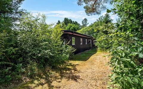 Fot - 7Km from the Sea: Vegetationen, Busk, Landskab, Plantesamfund, Land Lot, Landdistrikt, Have, Sommerhus, Garden Bygninger