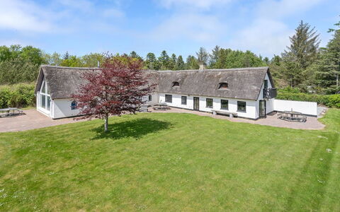Iben - 2.3Km from the Sea: Plantesamfund, Sollys, Urteagtig Plante, Have, Plantation, Landbrug, Farm