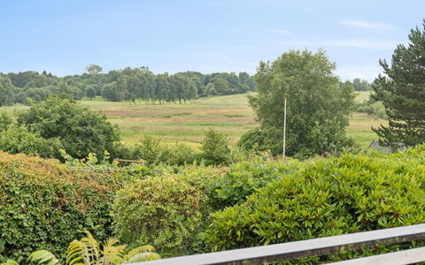 Ylermi - 1.5Km from the Sea: Himmel, Grøn, Vegetationen, Sky, Busk, Græs-, Plantesamfund, Almindeligt, Cumulus, Plantation