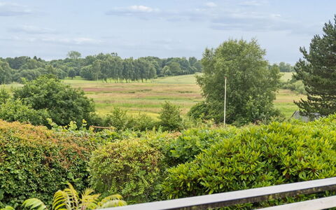 Ylermi - 1.5Km from the Sea: Himmel, Grøn, Naturligt Miljø, Vegetationen, Sky, Busk, Græs-, Plantesamfund, Land Lot, Almindeligt